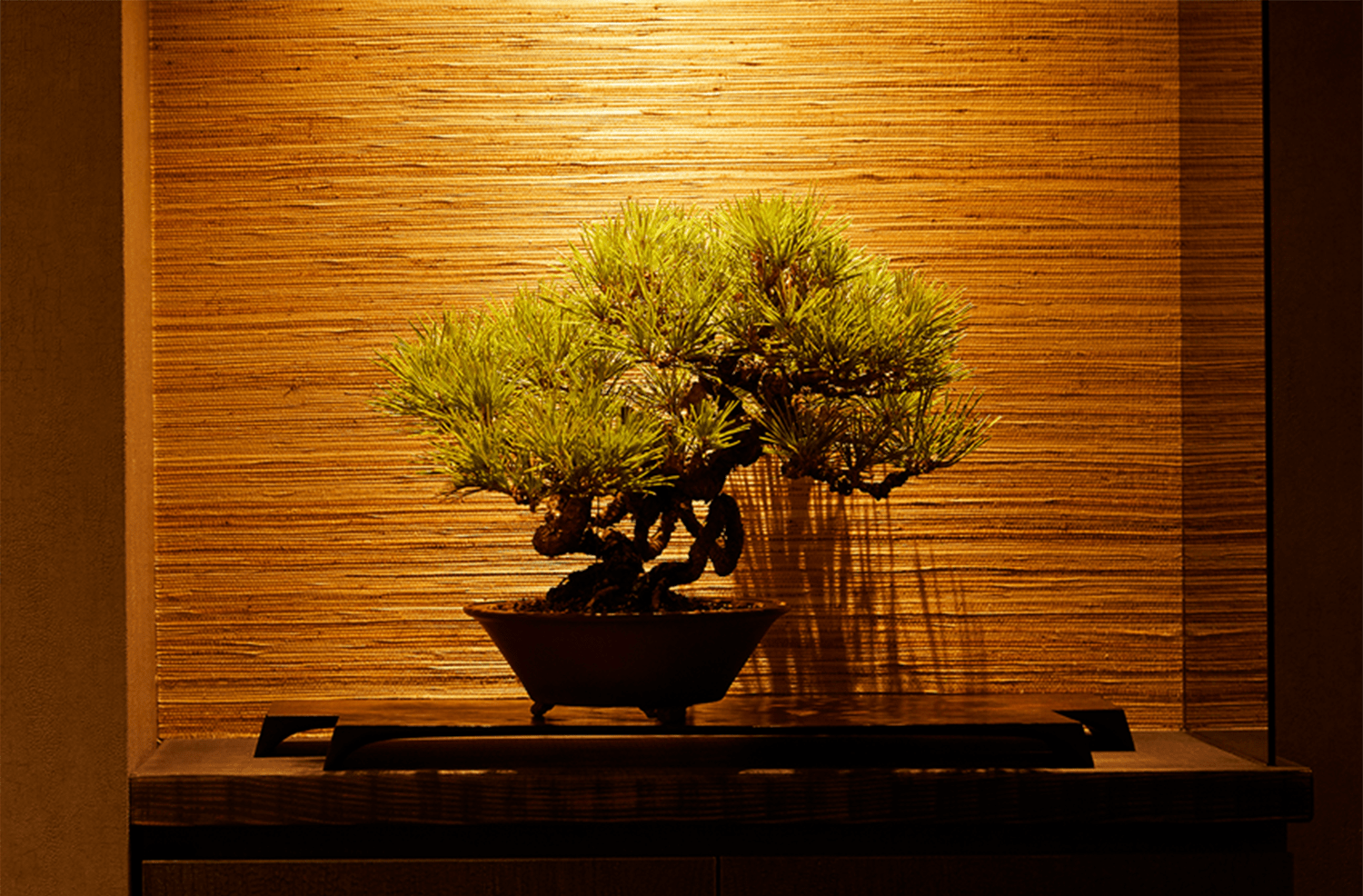 うし松のこだわり