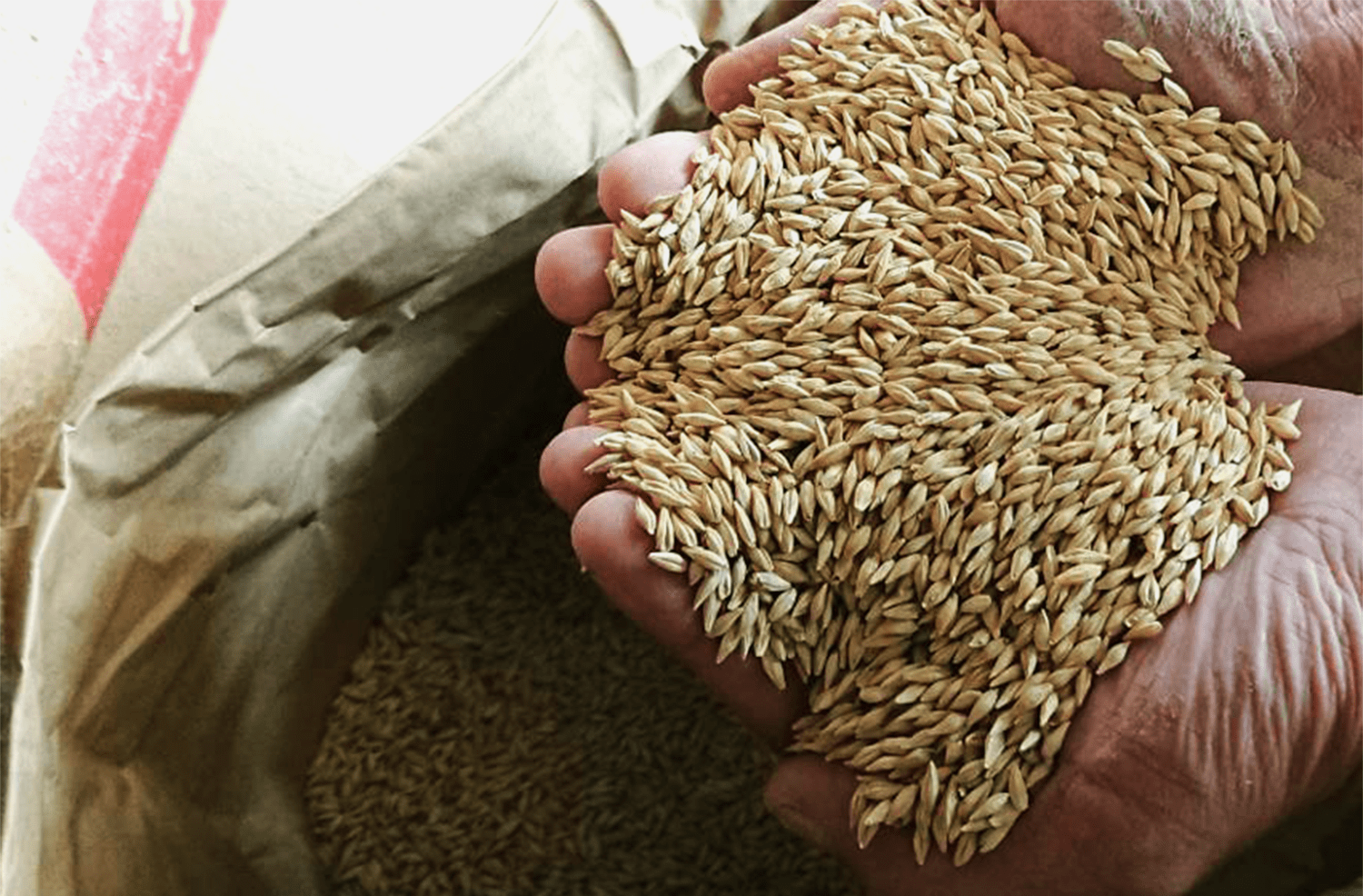 うし松のこだわり